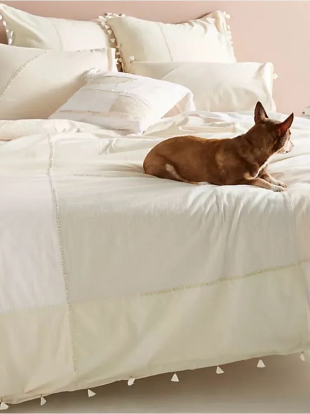 Anthropologie Amelie Duvet Cover King